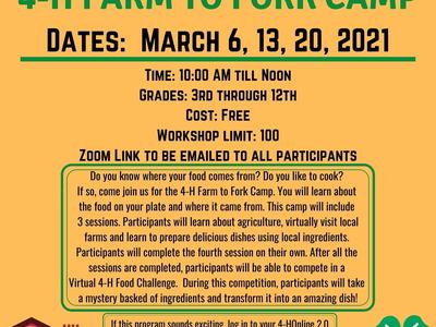 Virtual 4‑H Farm to Fork Camp — Dates: Mar 6,13,20 2021; 10–12; Grades 3–12; Free