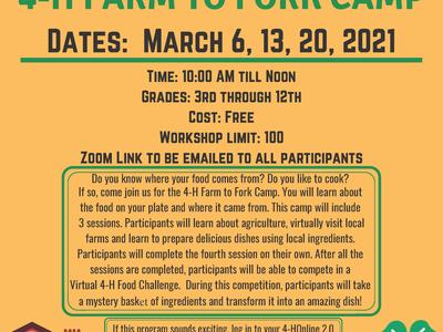 4-H Farm to Fork Camp