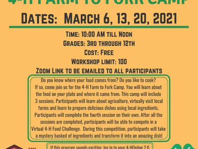 Virtual 4-H Farm to Fork Camp march 6, 13, 20 2021