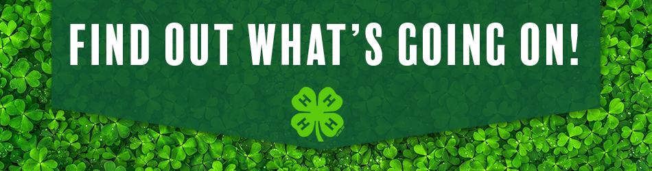 Find out what's going on! banner