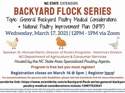flyer for the Backyard Flock Series, all information in page text