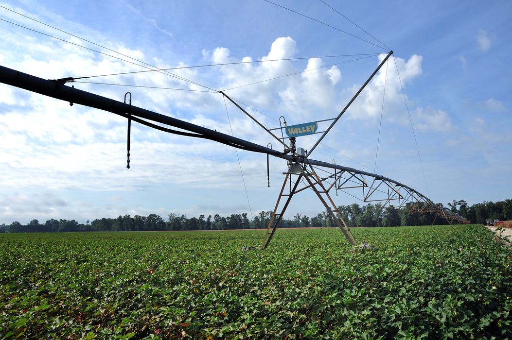 irrigation management