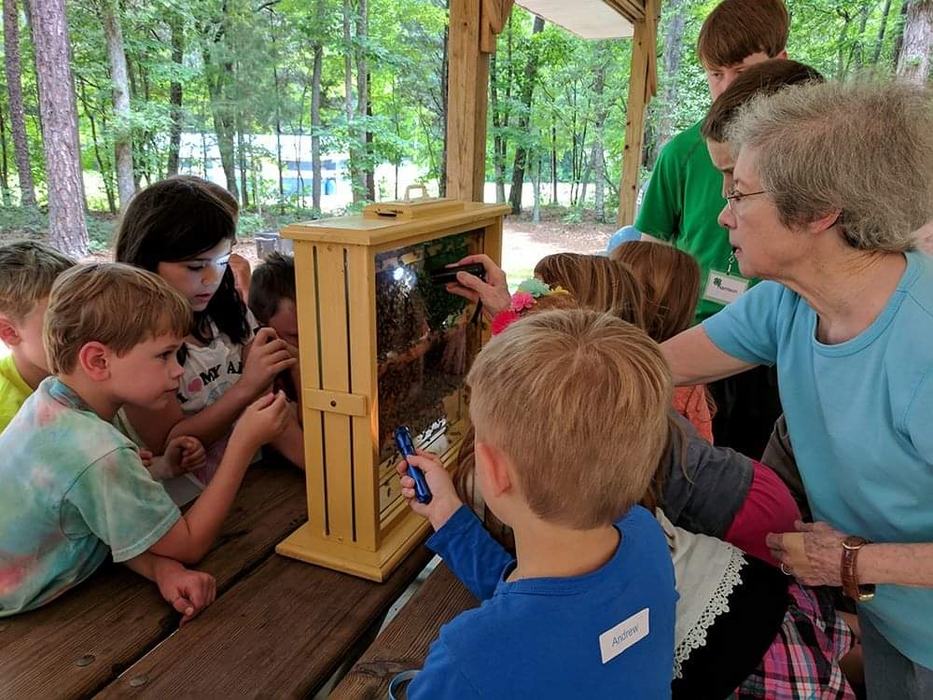 Kids looking at bee hive