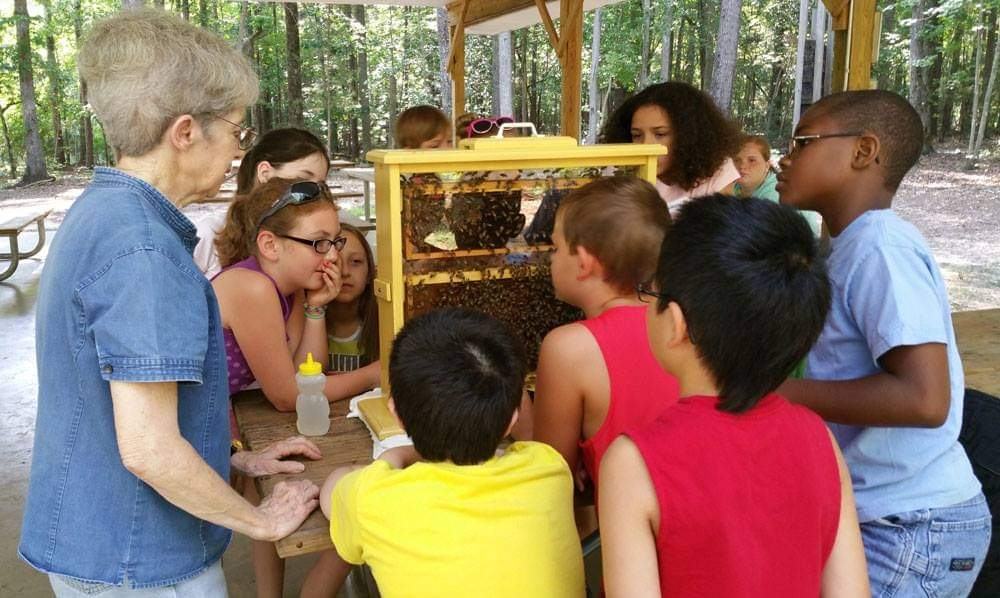 Judy Pick teaching kids about honey bees and beekeeping