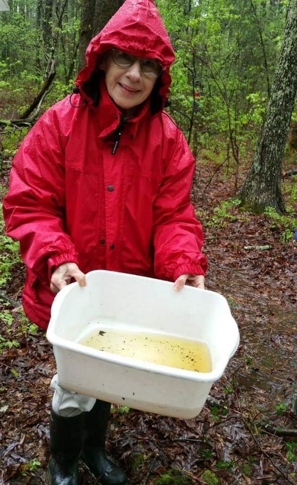 Judy examines findings from a dip net at the bog
