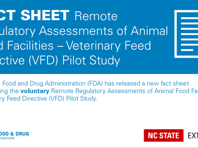 Fact Sheet Remote Regulatory Assessments of Animal Food Facilities – Veterinary Feed Directive (VFD) Pilot Study