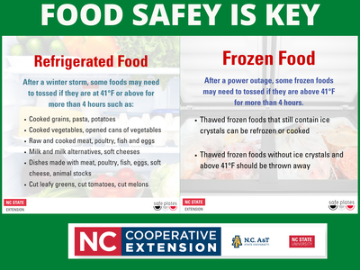 Food Safety is Key flyer image