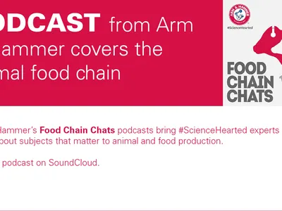 decorative banner with text announcing the Arm & Hammer podcast, all info repeated in post