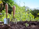 Wooden handled stainless steel garden hand trowel and hand fork tools standing in a vegetable garden border with green foliage behind with a blue sky.