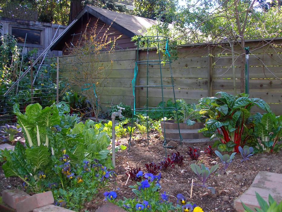 School garden 