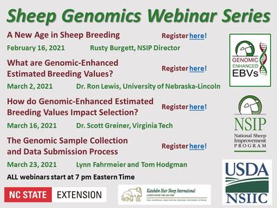 Sheep Genomics Webinar Series flyer