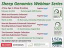 Sheep Genomics Webinar Series flyer