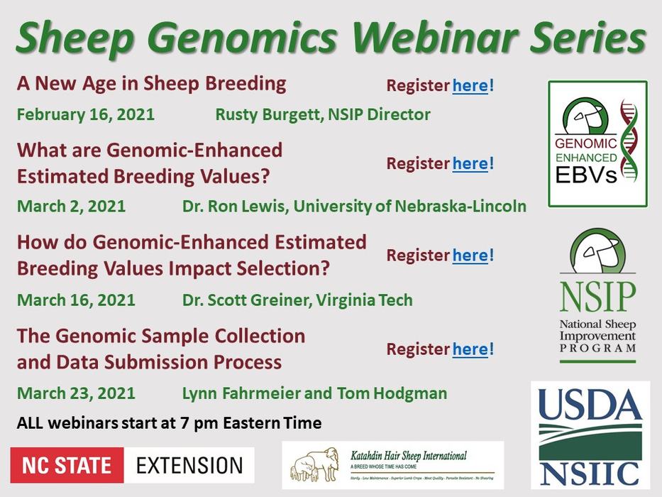 Sheep Genomics Webinar Series flyer