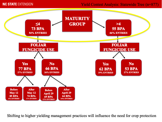 Flow chart showing most likely predictor of high yield to be maturity group, planting date and fungicide use