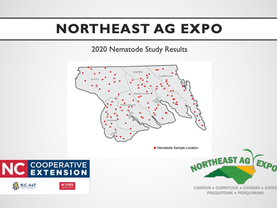 NE Ag Expo Nematode Report Cover