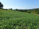 pasture in Buncombe County