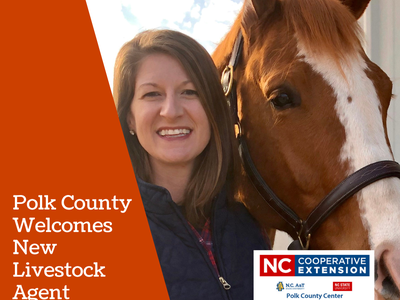 Polk County NC Livestock Agent