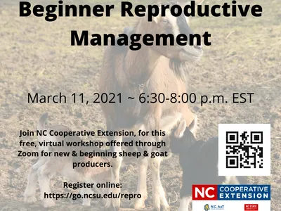 Goats