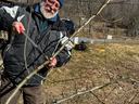 Image of a man pruning a dormant apple tree