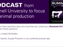 Ruminate on This cover art with text announcing the new podcast