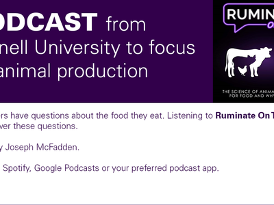 Ruminate on This cover art with text announcing the new podcast