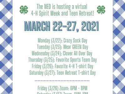 NED Teen Retreat and Spirit Week