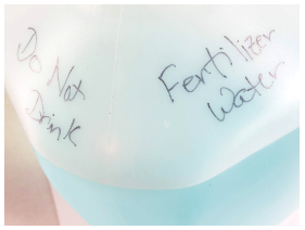 Label the leaf cutting