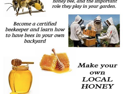 Bee, beekeepers, and honey