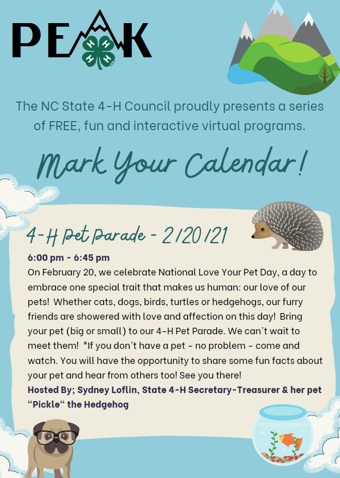 PEAK event flyer image