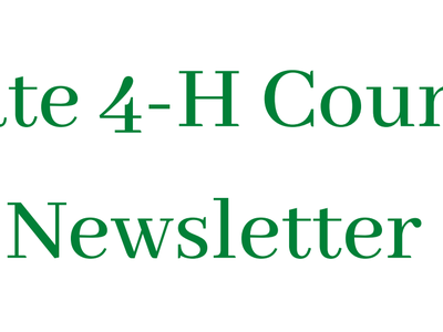 State 4-H Council logo image