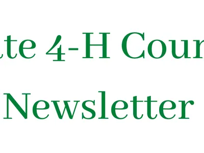 State 4-H Council logo image