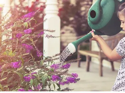 little girl watering flowers
