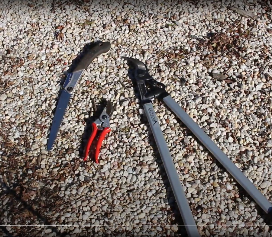 Pruning tools
