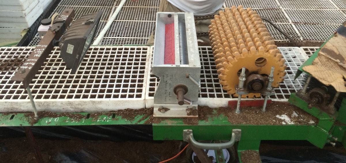 Seeding tobacco float trays