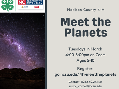 meet the planets flyer