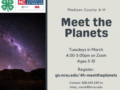 meet the planets flyer