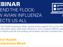 decorative banner announcing the Defend the Flock webinar, all information on page