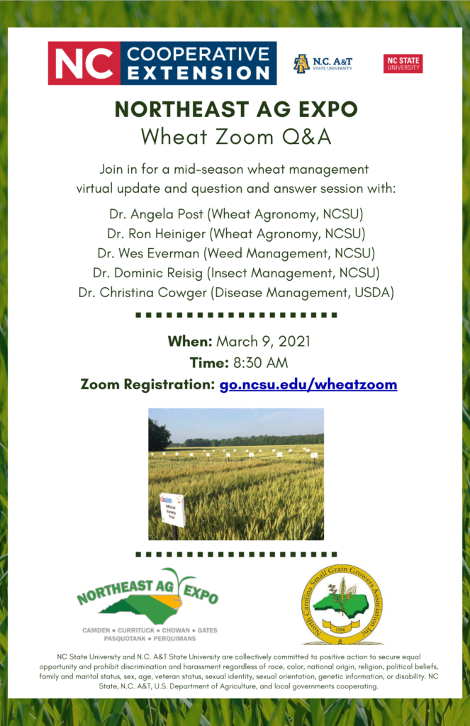 Wheat Zoom Q&A flyer image