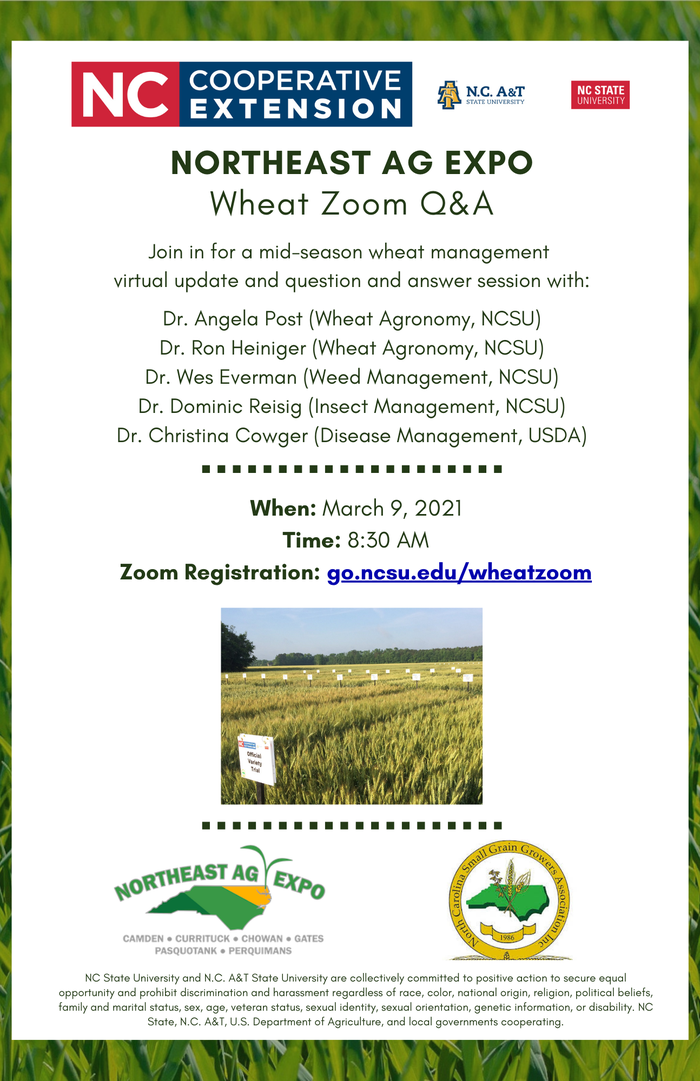 Wheat Zoom Q&A flyer