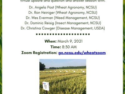 NORTHEAST AG EXPO Wheat Zoom Q&A — March 9, 2021 8:30 AM; Zoom registration: go.ncsu.edu/wheatzoom