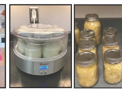 Fermenting materials