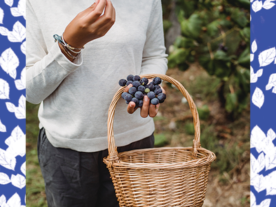 Person holding grapes and basket; "2021 Small Fruits Sale", NC Cooperative Extension