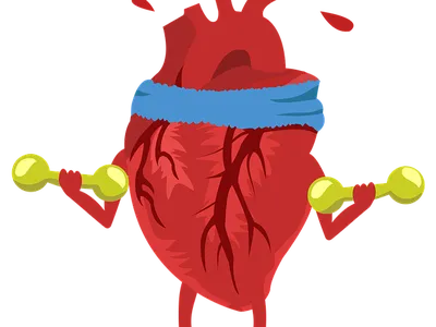Heart lifting weights