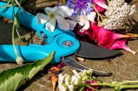 Pruning tool among flora