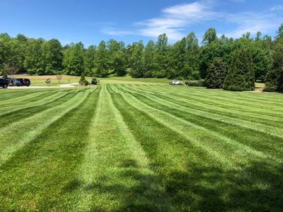 Large mowed lawn with alternating light and dark stripes, trees and parked cars in background.