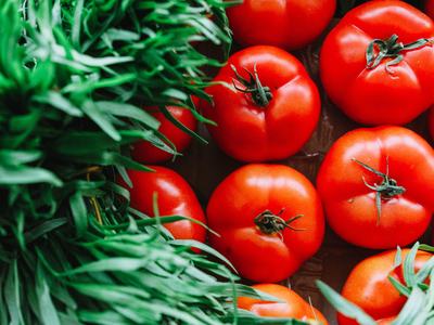 red tomatoes lined up with grass beside them