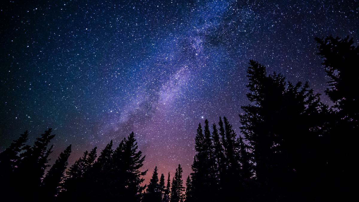Stars in the night sky