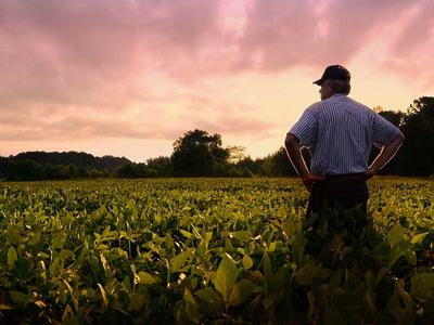 sunsetting upon a farmer and his field