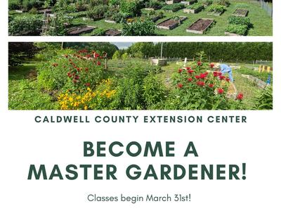 master gardener flyer