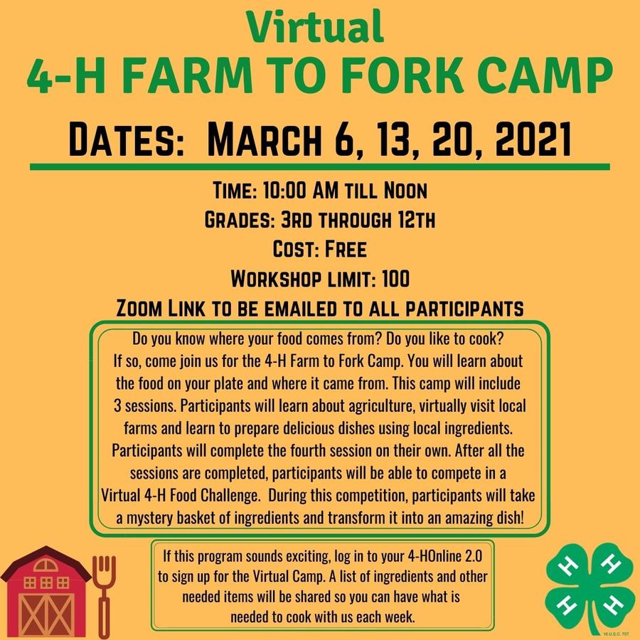 Picture of 4-H Farm to Fork advertisement